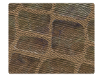 239 Lizards Print